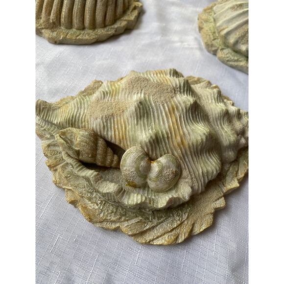 Set of 3 Sea Shell Wall Art 3-D, rough sand-like plaster or resin Apx 7-8" EUC - Picture 12 of 13
